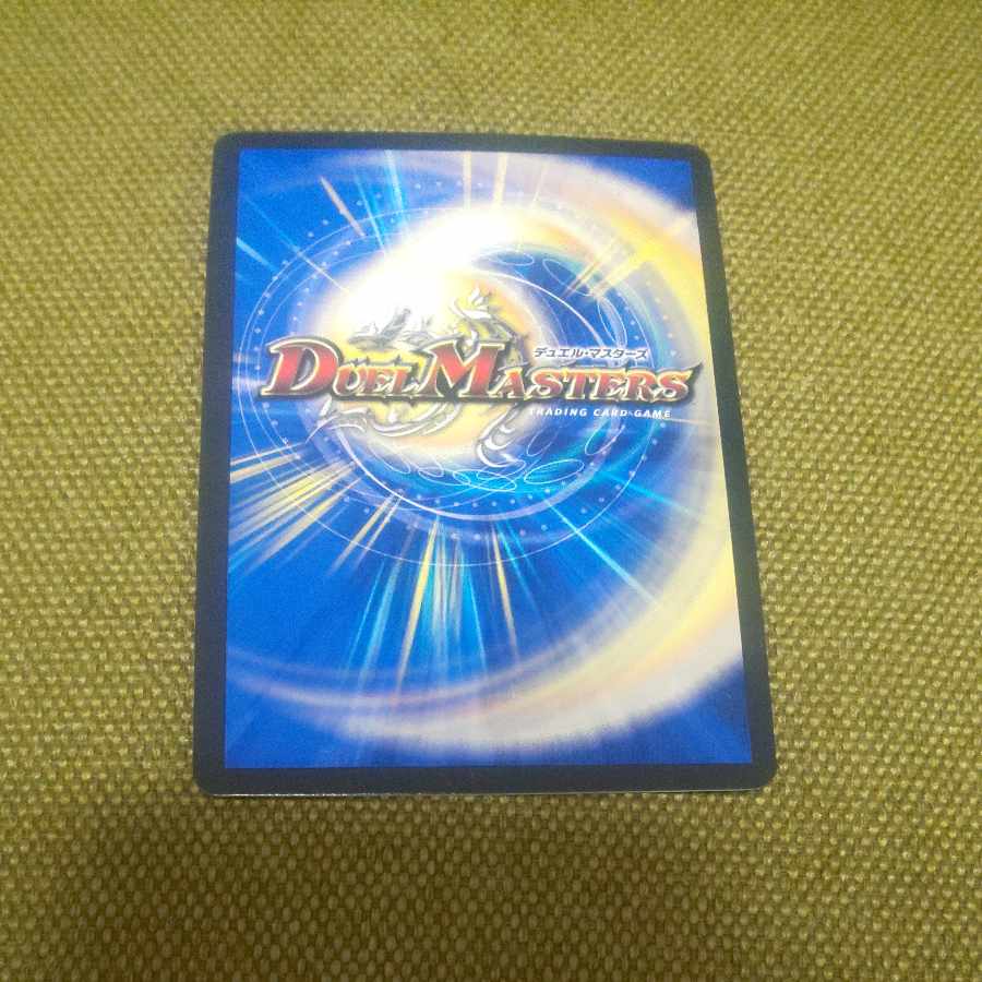 サッヴァークDG SE M1(秘)2/M1