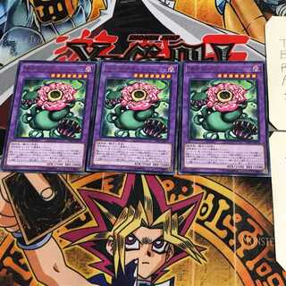 捕食植物キメラフレシア LVP3 5 レア 3枚セット てら