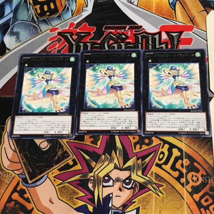 LL-Assembly Nightingale MACR 9 Rare Set of 3 Tera.