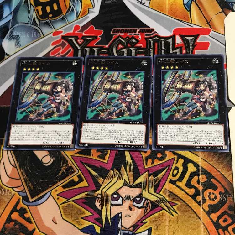 十二獣ライカ MACR 6 レア 3枚セット てら