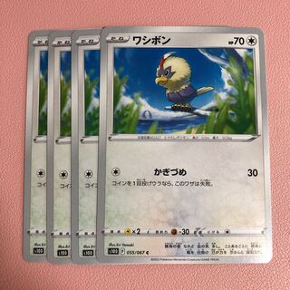 ワシボン C 055/067