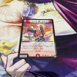 Cocco Bu Lupia R 19/74