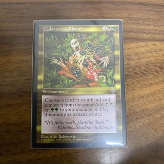 死体の花　英語版 1枚