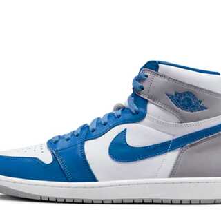 ナイキ エアジョーダン1 ハイ OG "トゥルーブルー" トゥルーブルー/ホワイト/セメントグレー 28cm