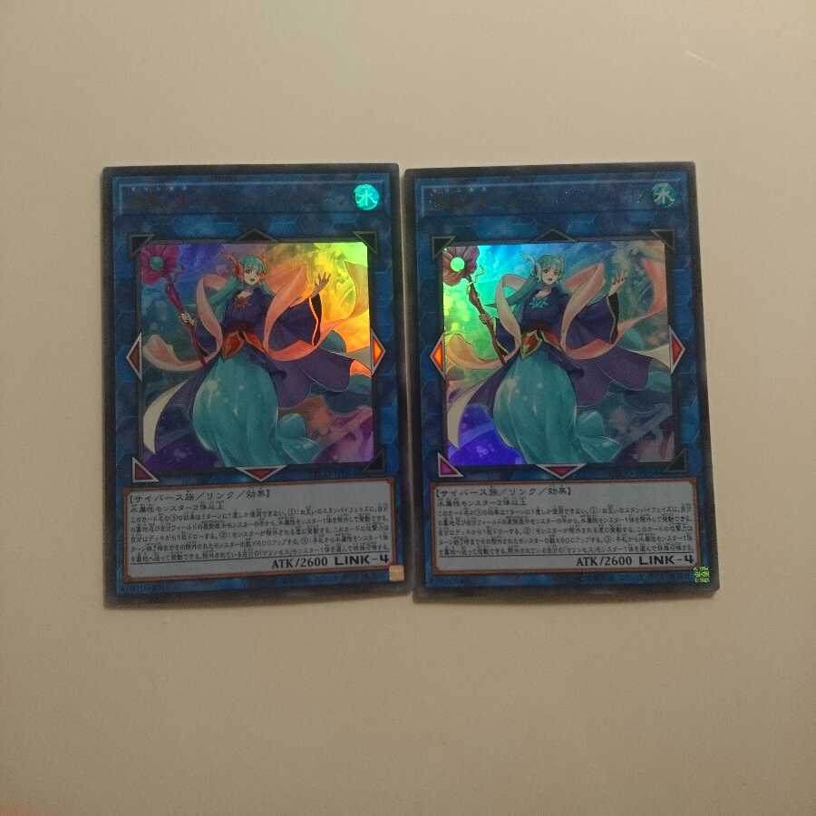 海晶乙女グレート・バブル・リーフ UL 2枚