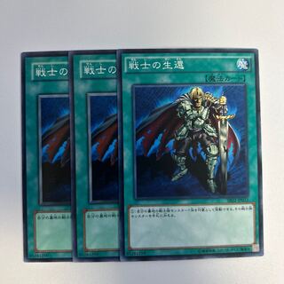 11534 The Warrior Returning Alive Normal JP033