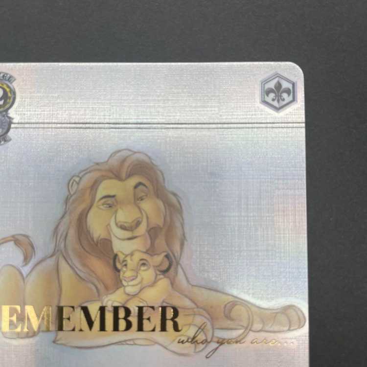 Teachings of the Father Mufasa & Simba SP