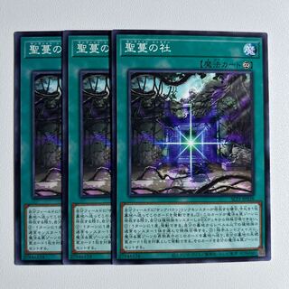 11569 聖蔓の社 ノーマル JP038