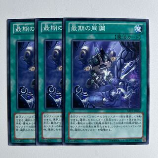 11570 最期の同調 ノーマル JP063