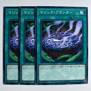 11577 Magic Planter *1002