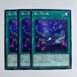 11632 迷い花の森 ノーマル DBGC-JP034