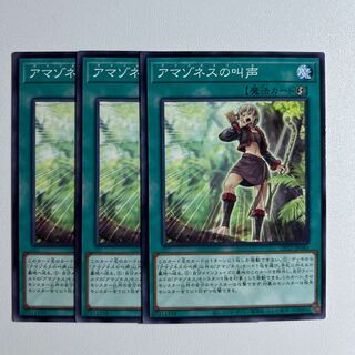 アマゾネスの叫声