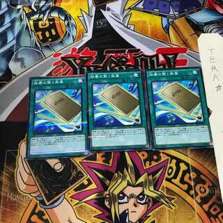 独奏の第1楽章 DBLE 6 ノーマルパラレル 3枚セット てら