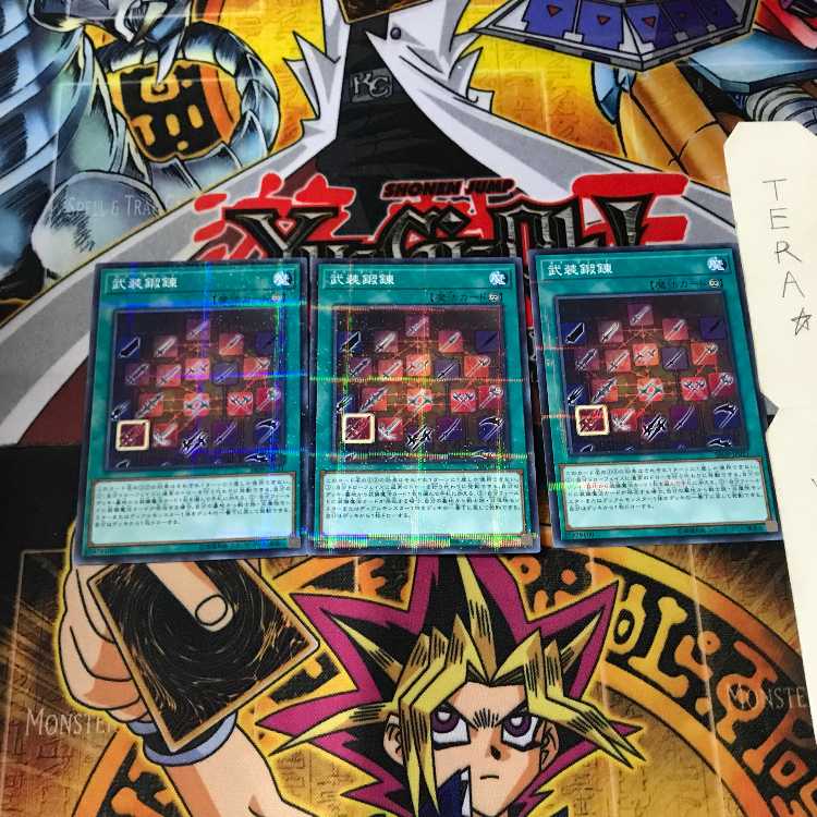 武装鍛錬 SR09 8 ノーマルパラレル 3枚セット てら