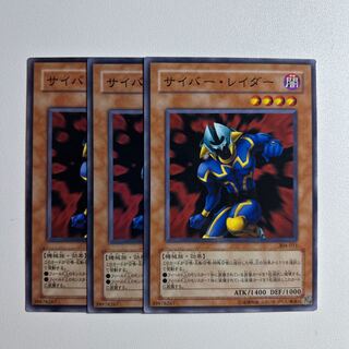 サイバー・レイダー ＊1106