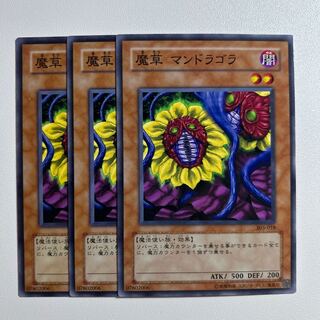 <怪奇植物誌>マンドラゴラ夢想（全初版レア‼️）3冊セット ゲオ公式通販サイト/ゲオオンラインストア【新品