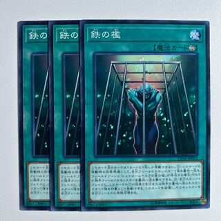 11708 鉄の檻 ノーマル JP012