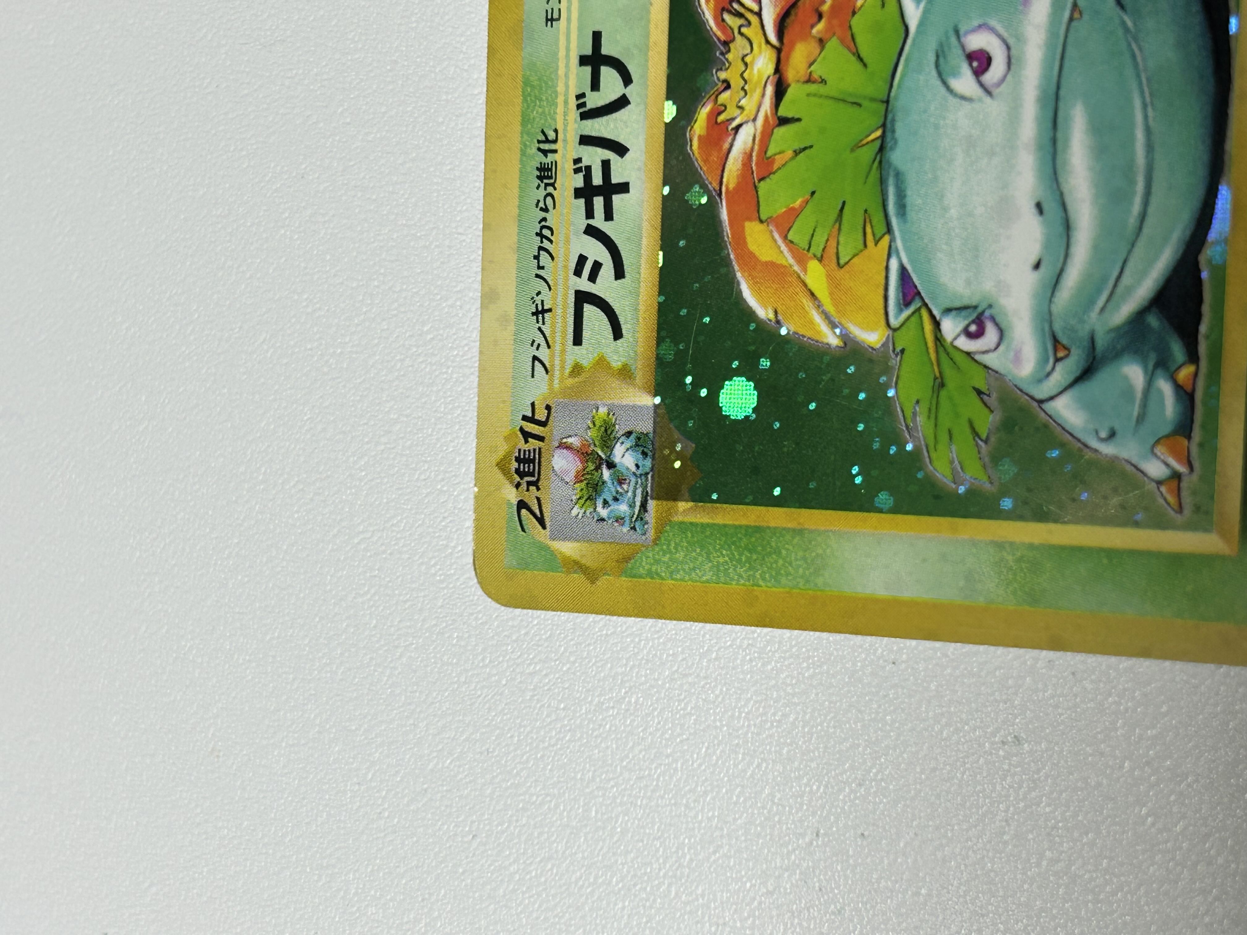 フシギバナ 旧裏