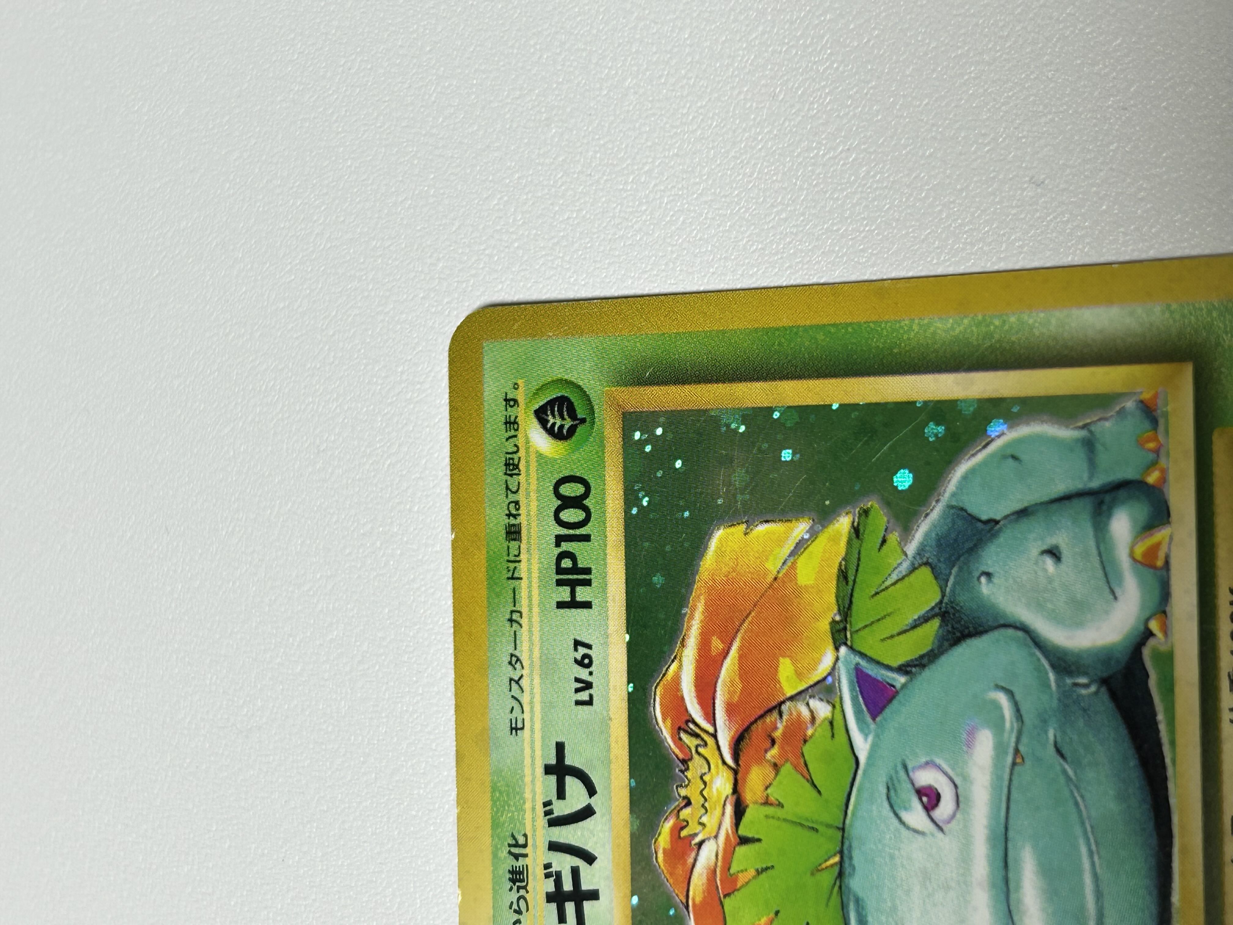 フシギバナ 旧裏