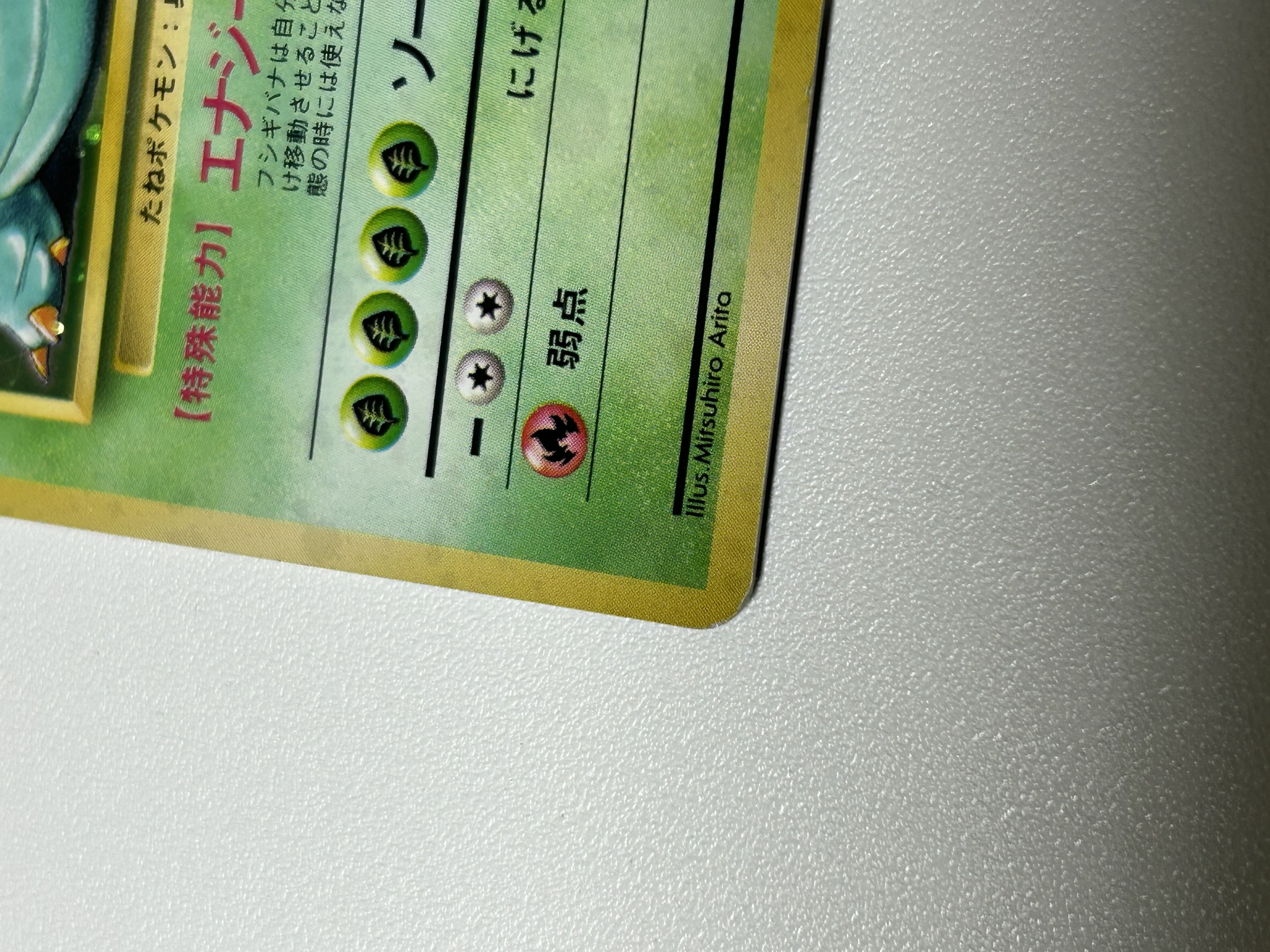 フシギバナ 旧裏