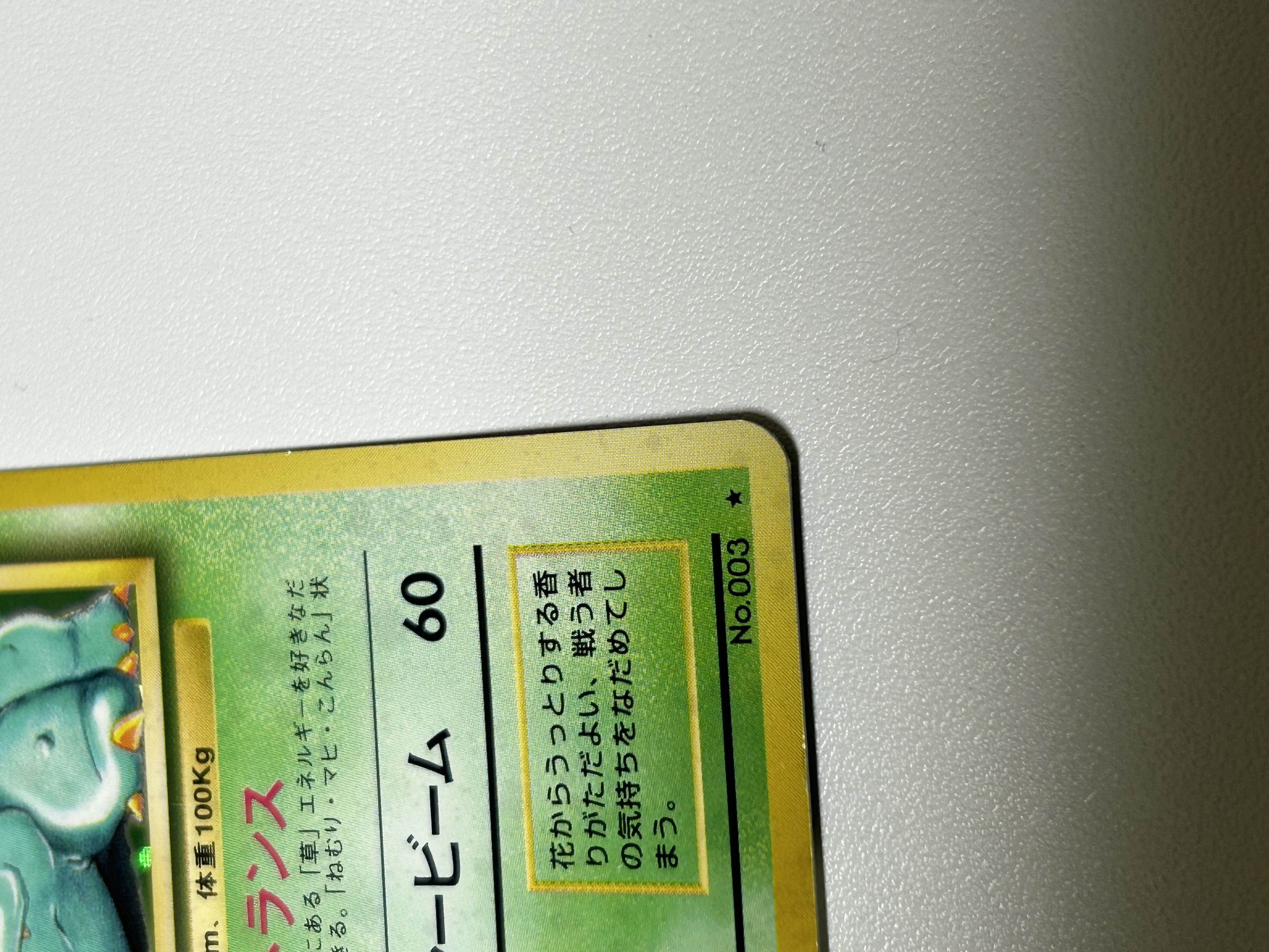 フシギバナ 旧裏