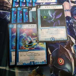 マリン・フラワー　Tアナーゴ　アクアガード