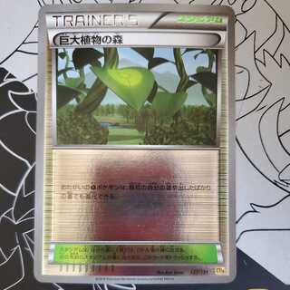 Forest of Giant Plants Mirror Foil