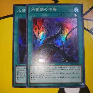 Frozen Rose Set of 2 Frozen Roars