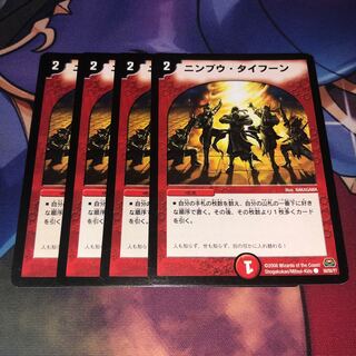 ニンプウ・タイフーン C 50/55/Y7