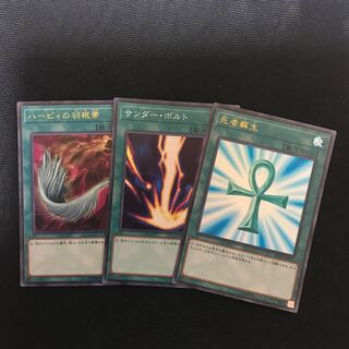 ハーピィの羽根帚　サンダーボルト　死者蘇生