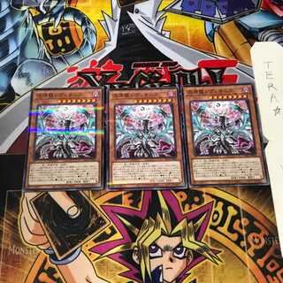 混源龍レヴィオニア PAC1 6 ノーマルパラレル 3枚セット てら