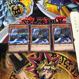 Mezuki 20AP 4 Normal Parallel Set of 3 Tera