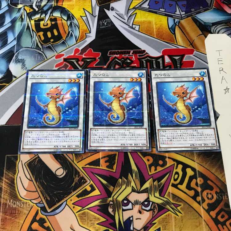 たつのこ JF15 3 ノーマルパラレル 3枚セット てら