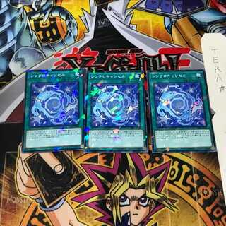 シンクロキャンセル DBHS 3 ノーマルパラレル 3枚セット てら