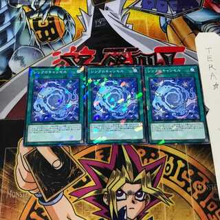 シンクロキャンセル DBHS 4 ノーマルパラレル 3枚セット てら