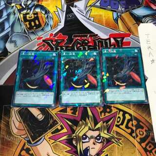 Black Whirlwind SPTR 7 Normal Parallel Set of 3 Tera