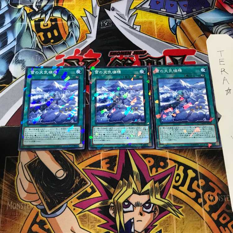 雪の天気模様 DBSW 5 ノーマルパラレル 3枚セット てら