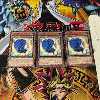 バク団 DP14 5 ノーマルパラレル 3枚セット てら