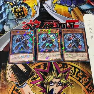 Poison Demon Demon - Sokutin DBHS 4 Normal Parallel Set of 3 Tera