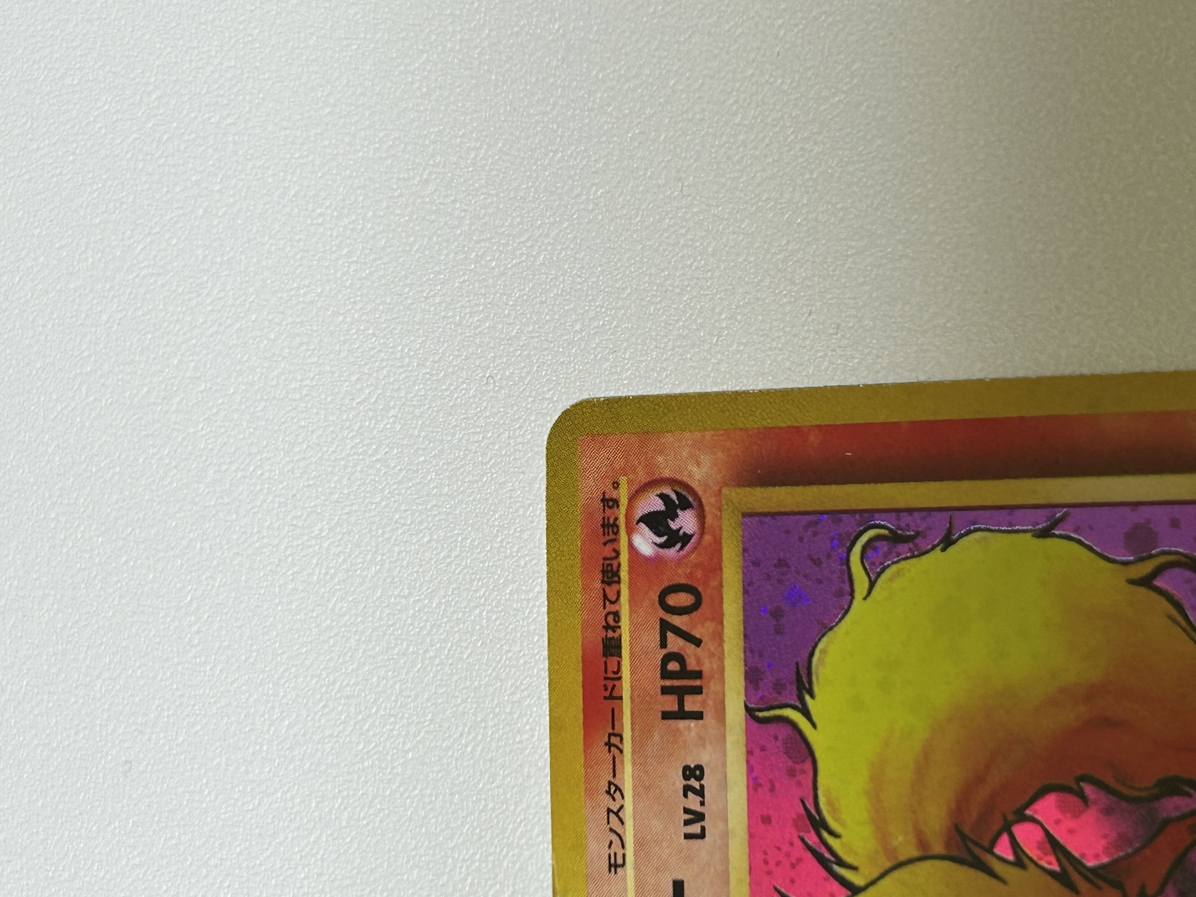 ブースター 旧裏 1枚