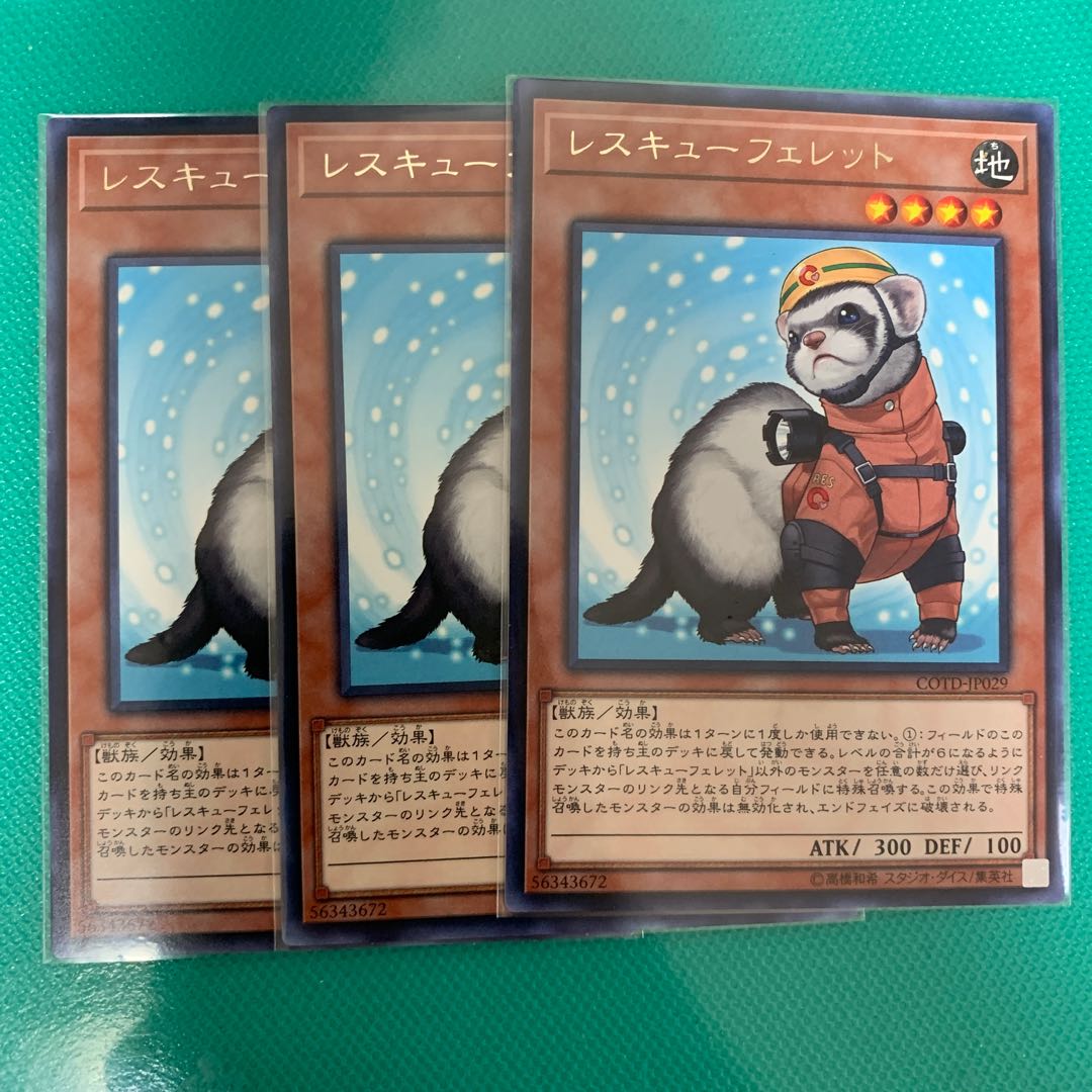 レスキューフェレット R