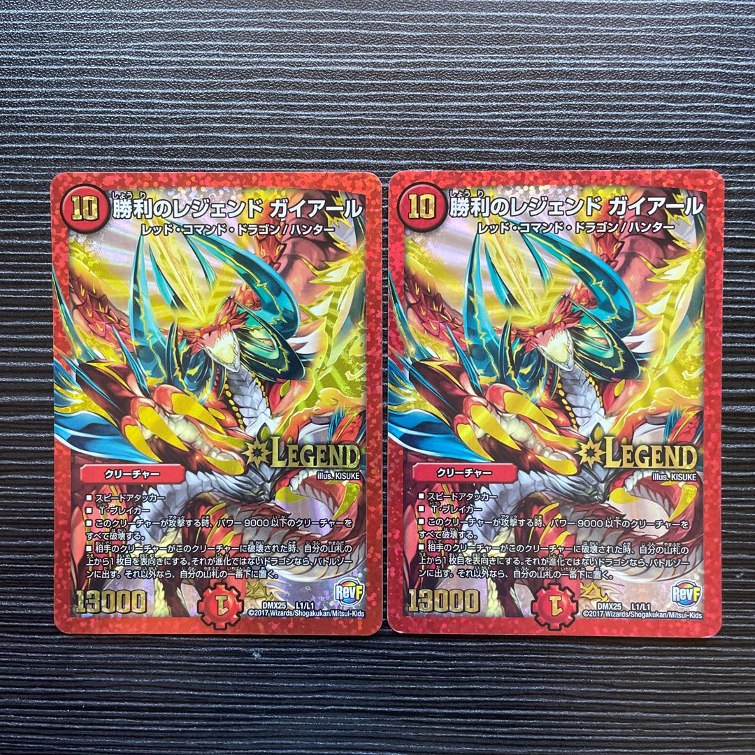 勝利のレジェンド ガイアール LEG L1/L1