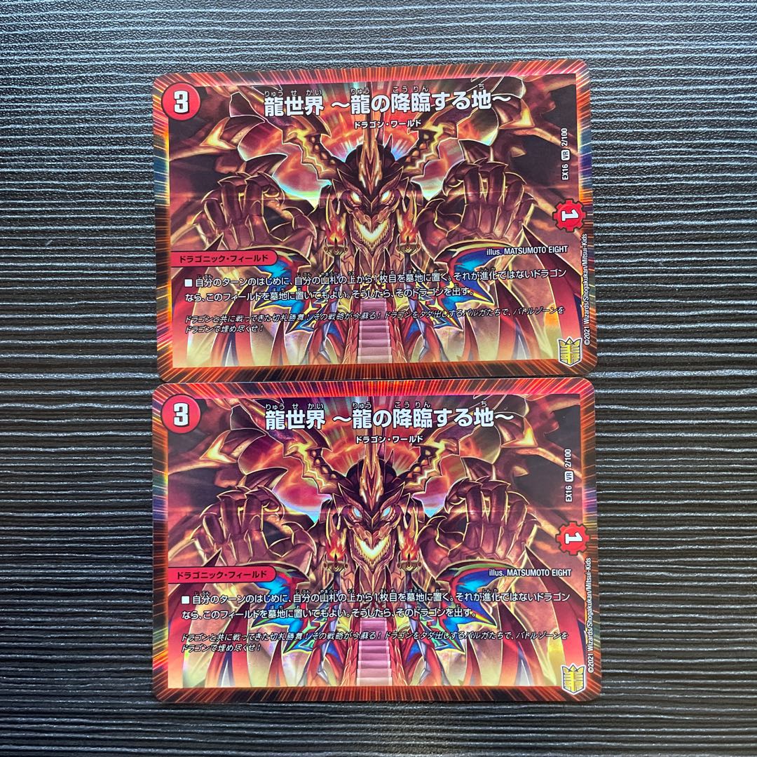 龍世界 -龍の降臨する地- VR 2/100