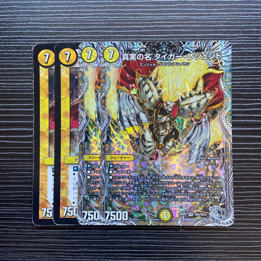 真実の名 タイガー・レジェンド