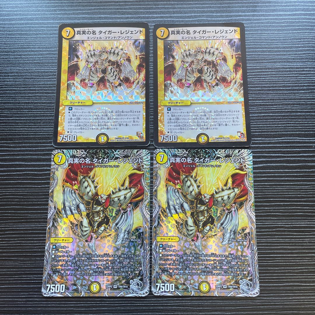 真実の名 タイガー・レジェンド