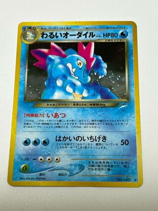 【ARS10+】オーダイル 旧裏 プレミアムファイル Amazon.co.jp: ポケモンカード☆neo 旧裏面 プレミアムファイル1