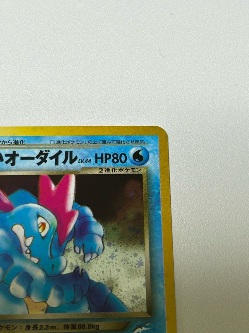 Bad Feraligatr Old Back 1枚