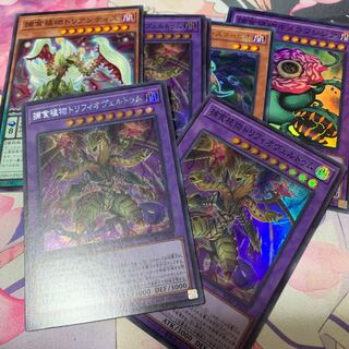 Predaplant Chimerafflesia Super Rare