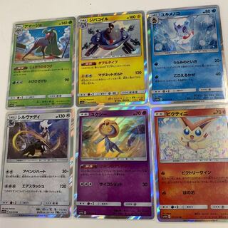 スカイレジェンド R 6種