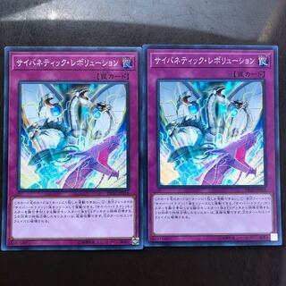 サイバネティックレボリューション